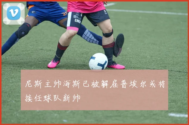 尼斯主帅海斯已被解雇普埃尔或将接任球队新帅