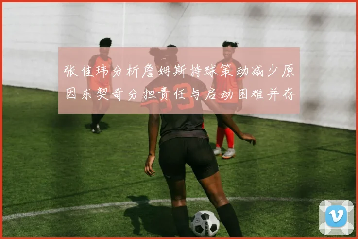 张佳玮分析詹姆斯持球策动减少原因东契奇分担责任与启动困难并存